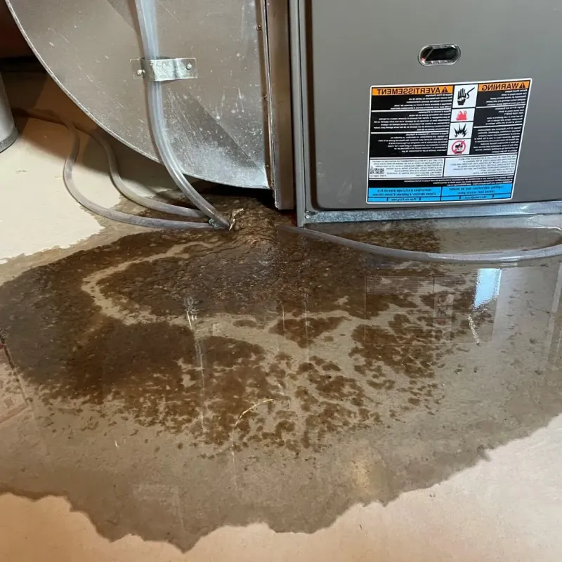 Pipe Burst and Leak Restoration in Bonner County, ID